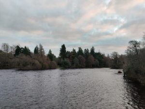 IMG_20211205_150901