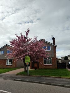 IMG_20220503_111656